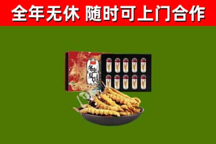 白银回收冬虫夏草价格